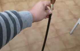 Appassionata sculacciate cercasi