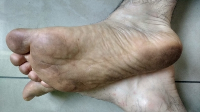 AssistenzaInfCastellarano2@GABBIA