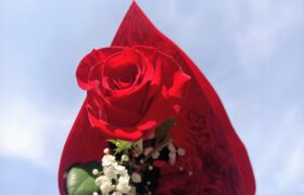 vita da convivenza perpetua 24/7 in relazione TPE