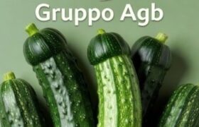 GRUPPO GANG A COSENZA PER DONNA O CP CUCKOLD