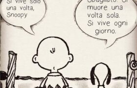 Una bella opportunità