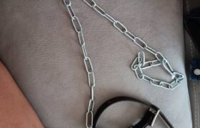 Vero Schiavo cerca vera Padrona