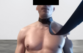sono un pet domestico