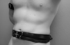 Toy slave