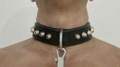 0e1b23ab-bf05-4b4d-957c-5d56cbcb3e1a-1_all_8370